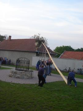 Stavanie mája Stavanie mája