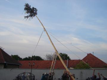Stavanie mája Stavanie mája
