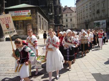 sprievod ulicami Viedne sprievod ulicami Viedne