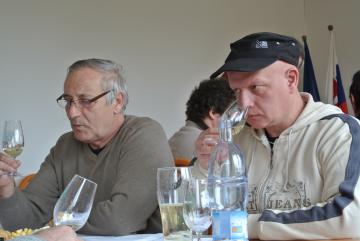 Degustácia vín Degustácia vín