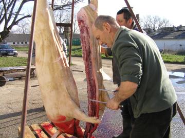 Degustácia vín 2014 - zabíjačka Degustácia vín 2014 - zabíjačka